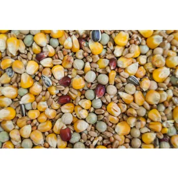 Karma Z-S Sezonowa 25kg Karma Ekonomiczna dla gołębi